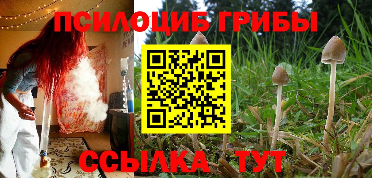 Галлюциногенные грибы мухоморы  Галлюциногенные грибы мухоморы  Вход с VPN  Тула 