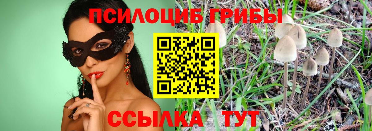 Псилоцибиновые грибы прущие грибы Тула